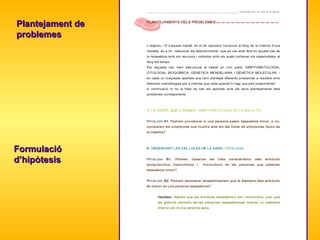 Plantejament de problemes Formulació d’hipòtesis 