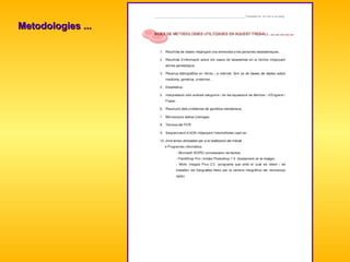 Metodologies ... 