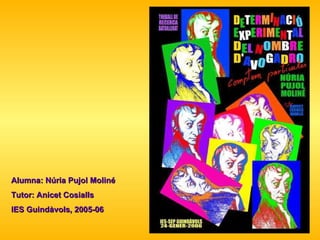 Alumna: Núria Pujol Moliné Tutor: Anicet Cosialls IES Guindàvols, 2005-06 