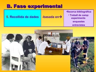 B. Fase experimental Recerca bibliogràfica Treball de camp: experiments  enquestes entrevistes -basada en  5.  Recollida de dades 