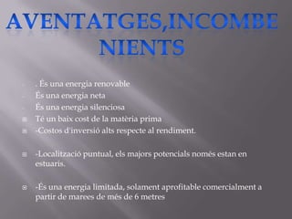 -   . És una energia renovable
-   És una energia neta
-   És una energia silenciosa
   Té un baix cost de la matèria prima
   -Costos d'inversió alts respecte al rendiment.

   -Localització puntual, els majors potencials només estan en
    estuaris.

   -És una energia limitada, solament aprofitable comercialment a
    partir de marees de més de 6 metres
 