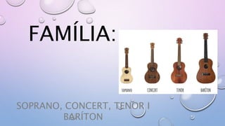 FAMÍLIA:
SOPRANO, CONCERT, TENOR I
BARÍTON
 