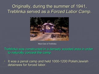 Originally, during the summer of 1941, Treblinka served as a  Forced Labor Camp . Treblinka was constructed in a densely wooded area in order to naturally conceal the camp. It was a penal camp and held 1000-1200 Polish/Jewish detainees for forced labor. Main Gate of Treblinka 