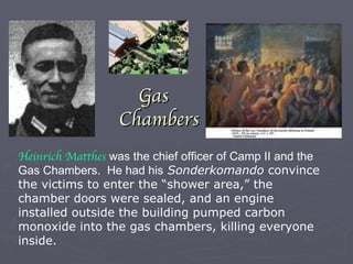 Gas  Chambers Heinrich Matthes   was the chief officer of Camp II and the Gas Chambers.  He had his   Sonderkomando  convince the victims to enter the “shower area,” the chamber doors were sealed, and an engine installed outside the building pumped carbon monoxide into the gas chambers, killing everyone inside. 