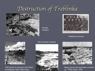 Destruction of Treblinka Treblinka survivors 1945 photo by Russian and Polish investigators after destruction Mass graves that had been covered up.  Photo taken 1945 Gas chamber remains Human remains 