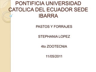 PONTIFICIA UNIVERSIDAD CATOLICA DEL ECUADOR SEDE IBARRA PASTOS Y FORRAJES  STEPHANIA LOPEZ  4to ZOOTECNIA 11/05/2011  