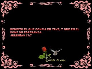 Trece líneas para vivir