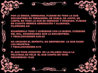 Trece líneas para vivir