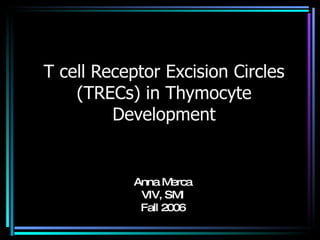 T cell Receptor Excision Circles (TRECs) in Thymocyte Development Anna Merca VIV, SMI Fall 2006 