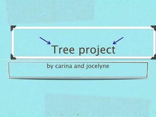 Tree project
by carina and jocelyne




          1
 