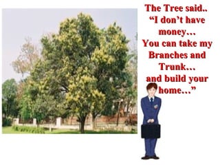 The Tree said..  “ I don’t have money… You can take my Branches and Trunk… and build your home…” 