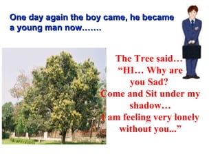 One day again the boy came, he became a young man now……. The Tree said…  “ HI… Why are you Sad?  Come and Sit under my shadow… I am feeling very lonely without you...” 