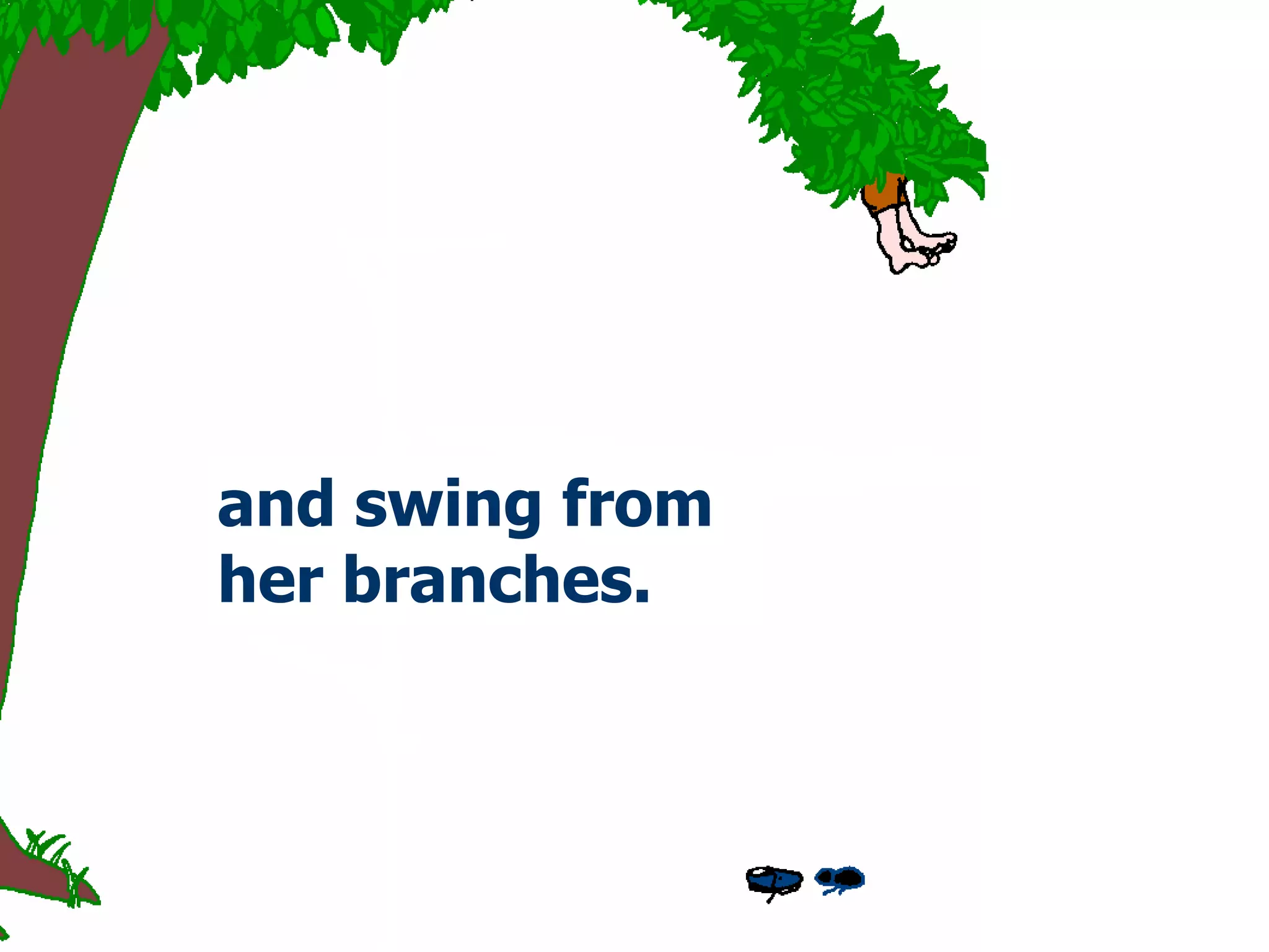 a nd swing from her branches . 