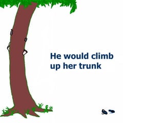 He would climb up her trunk 