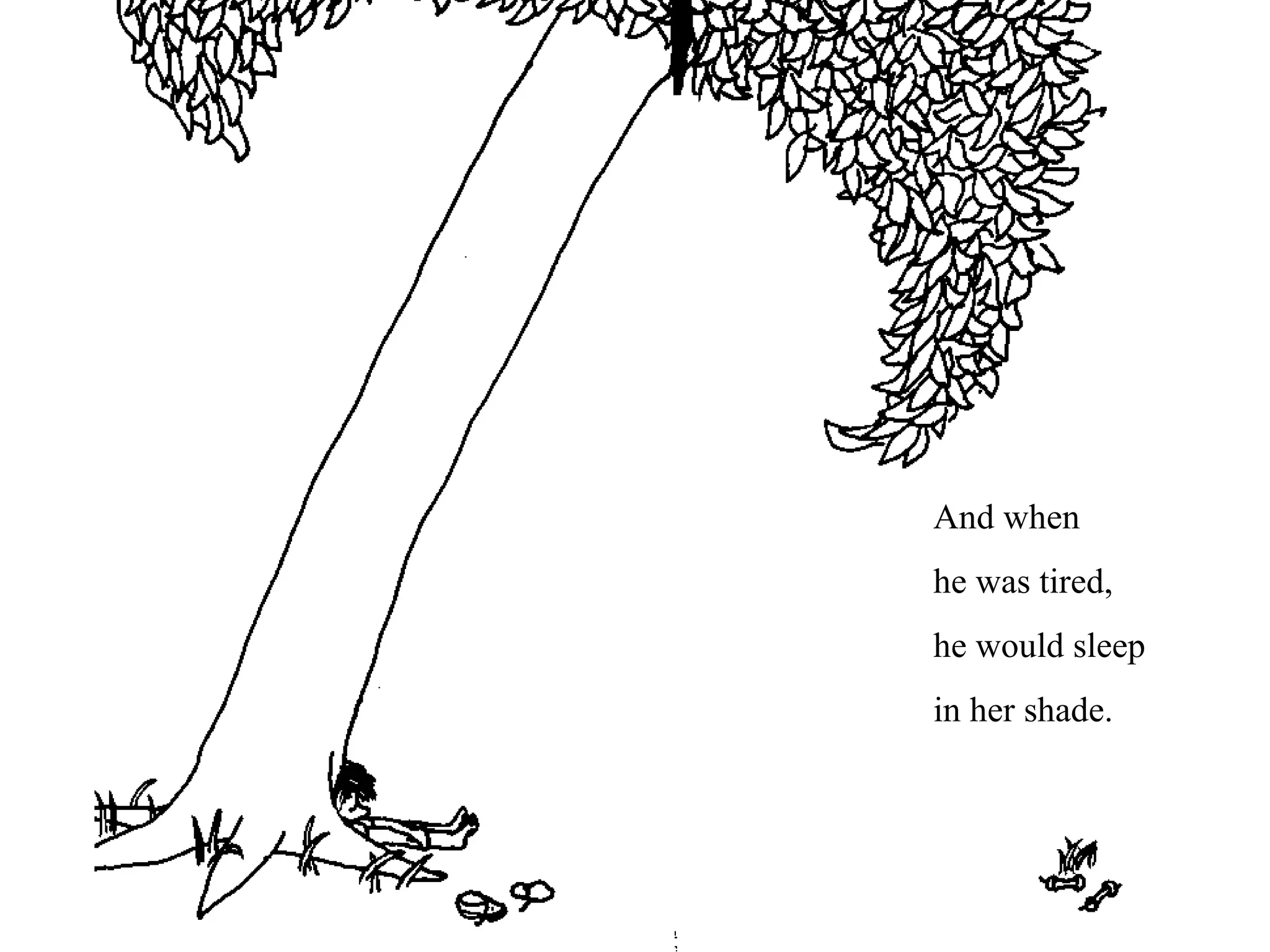 And when
he was tired,
he would sleep
in her shade.
 