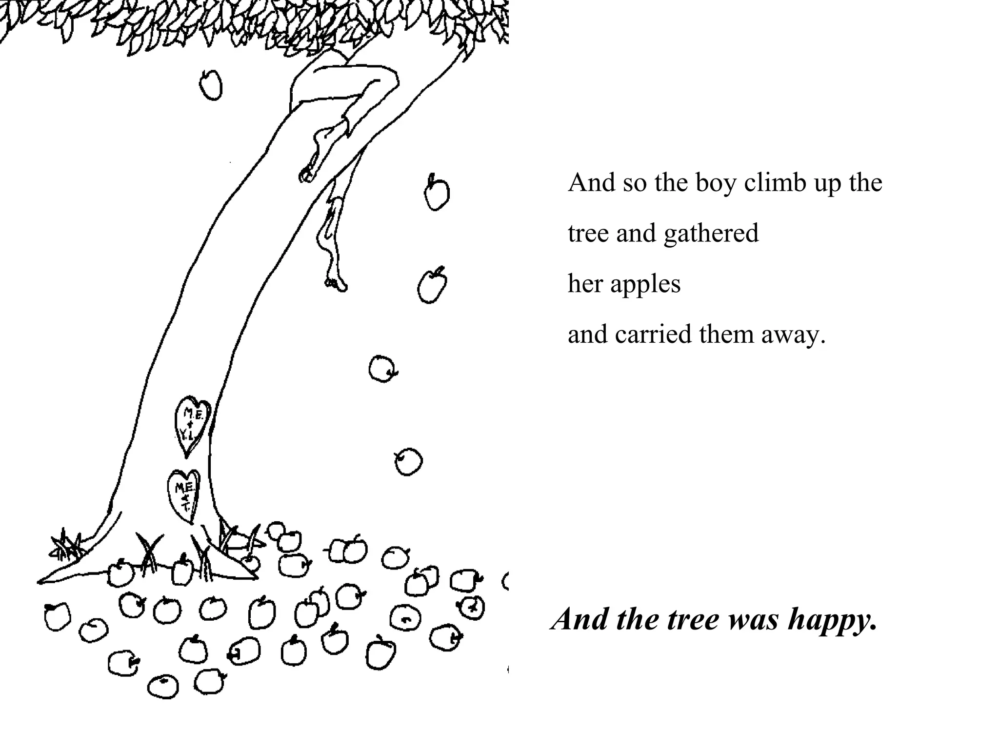 And so the boy climb up the
tree and gathered
her apples
and carried them away.
And the tree was happy.
 