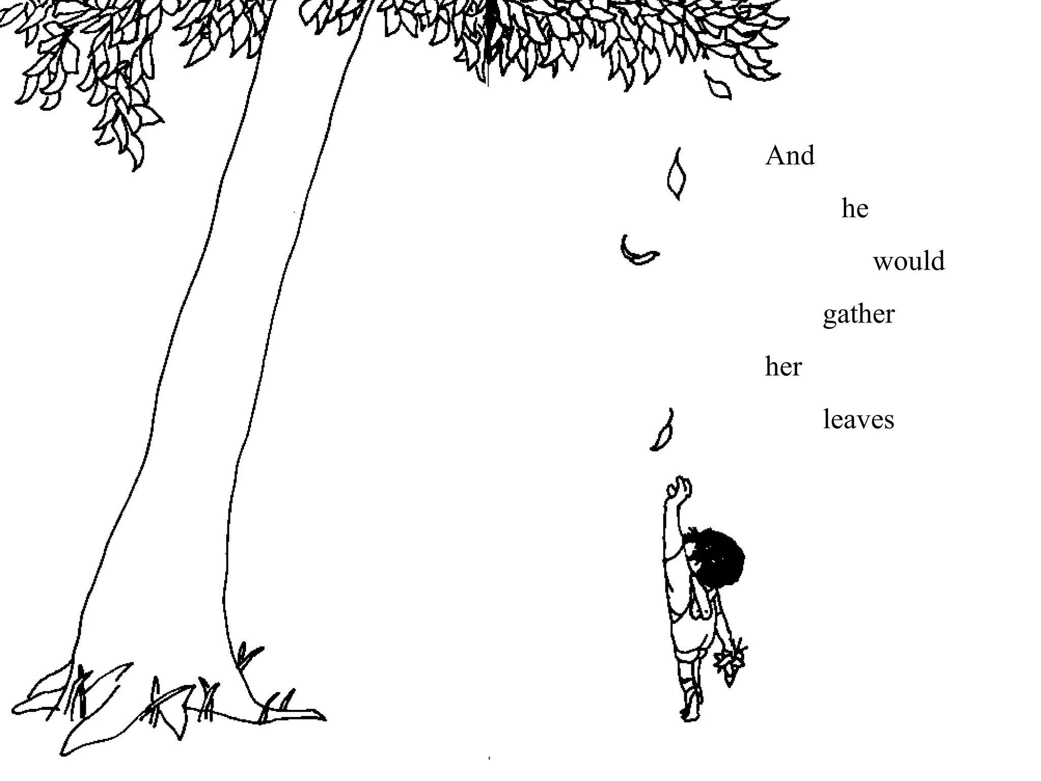 And
he
would
gather
her
leaves
 