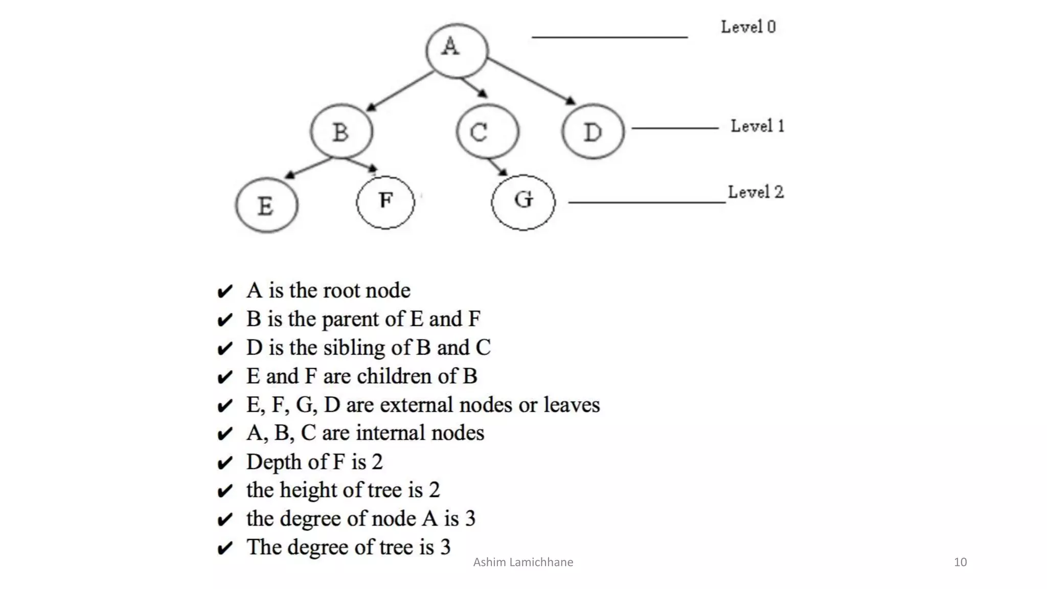 Tree - Data Structure | PPTX | Programming Languages | Computing