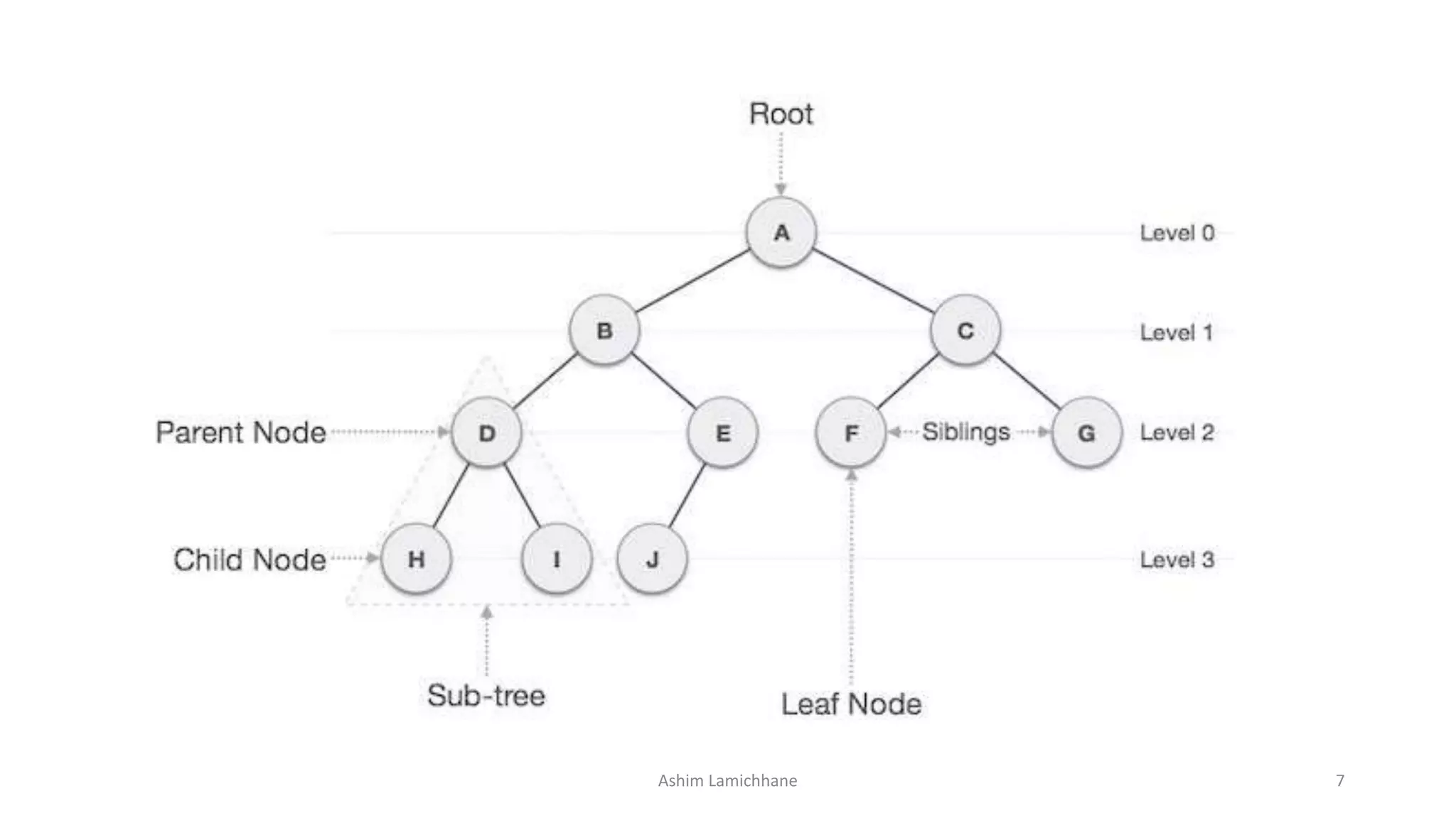 Tree - Data Structure | PPT