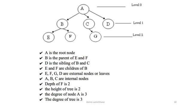 Tree - Data Structure | PPTX | Programming Languages | Computing