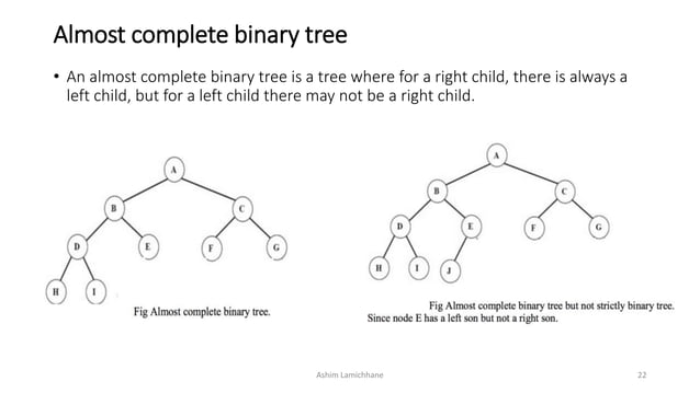 Tree - Data Structure | PPTX | Programming Languages | Computing
