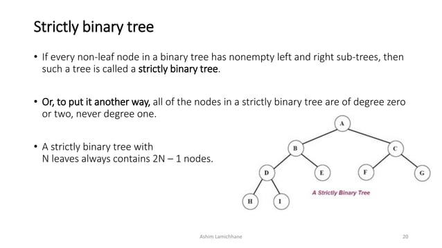 Tree - Data Structure