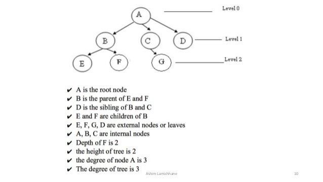 Tree - Data Structure