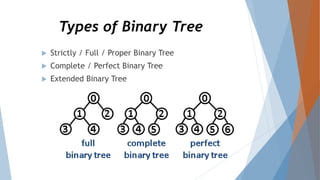 Types of Tree in Data Structure in C++ | PPTX | Programming Languages ...