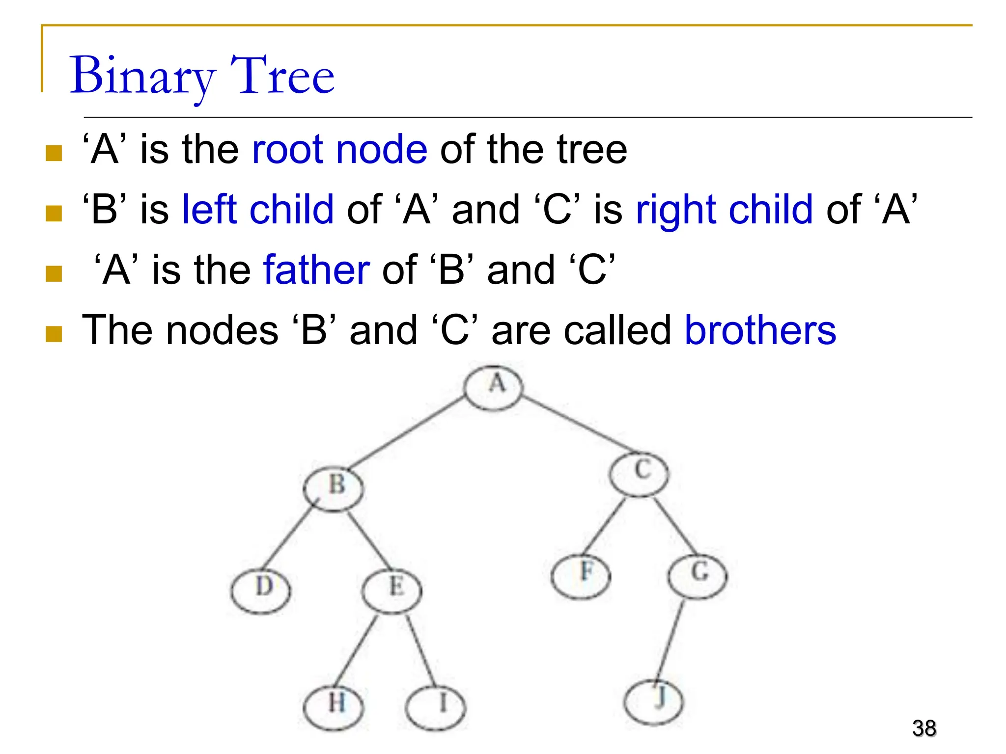 Tree Data Structure Tree Data Structure Details | PPT