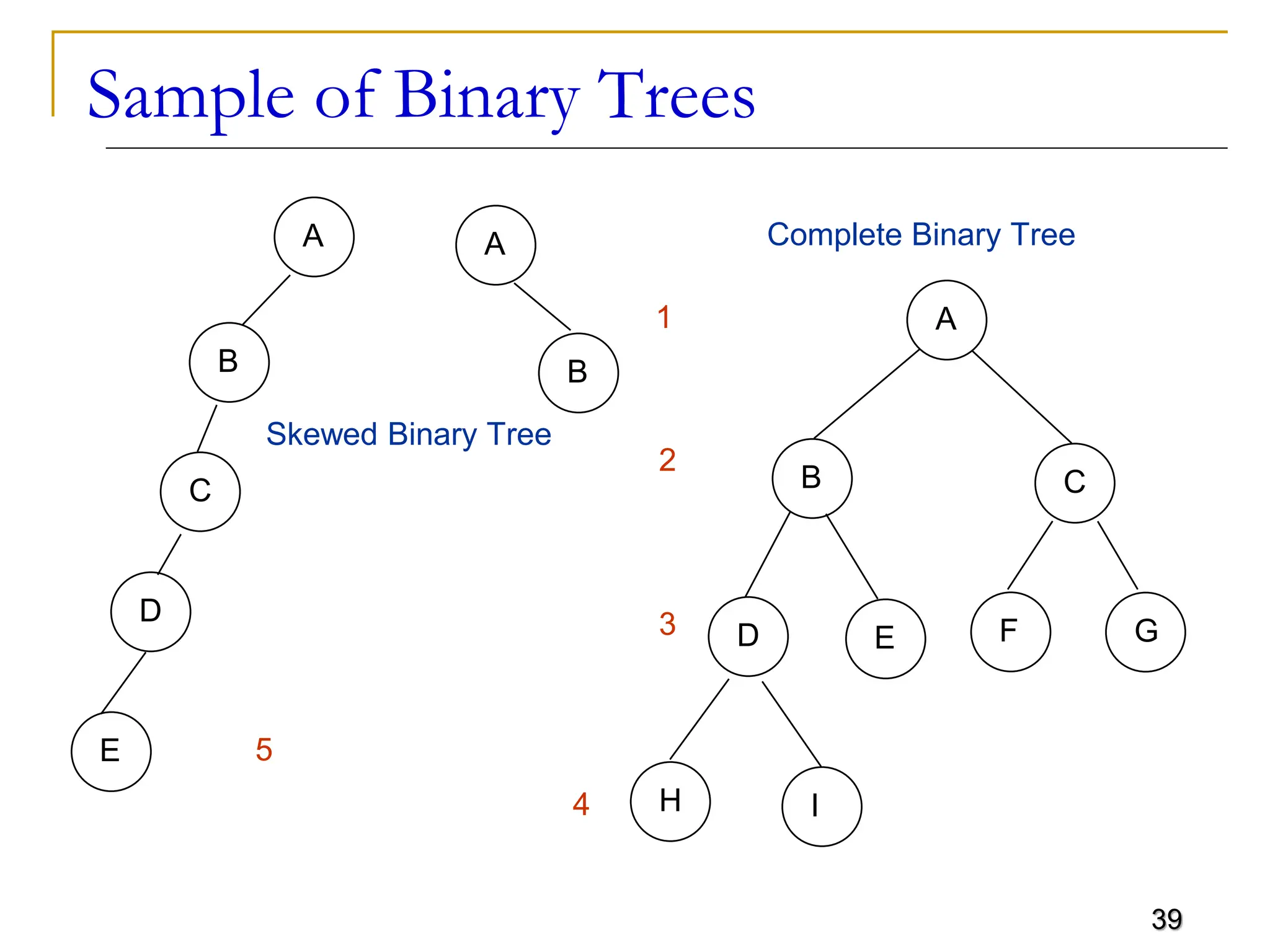 39 Sample of Binary Trees A B A B A B C G E I D H F Complete Binary Tree Skewed Binary Tree E C D 1 2 3 4 5 