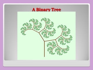 A Binary Tree
A Binary Tree
 