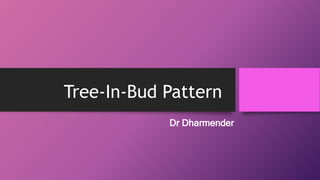 Tree-In-Bud Pattern
Dr Dharmender
 