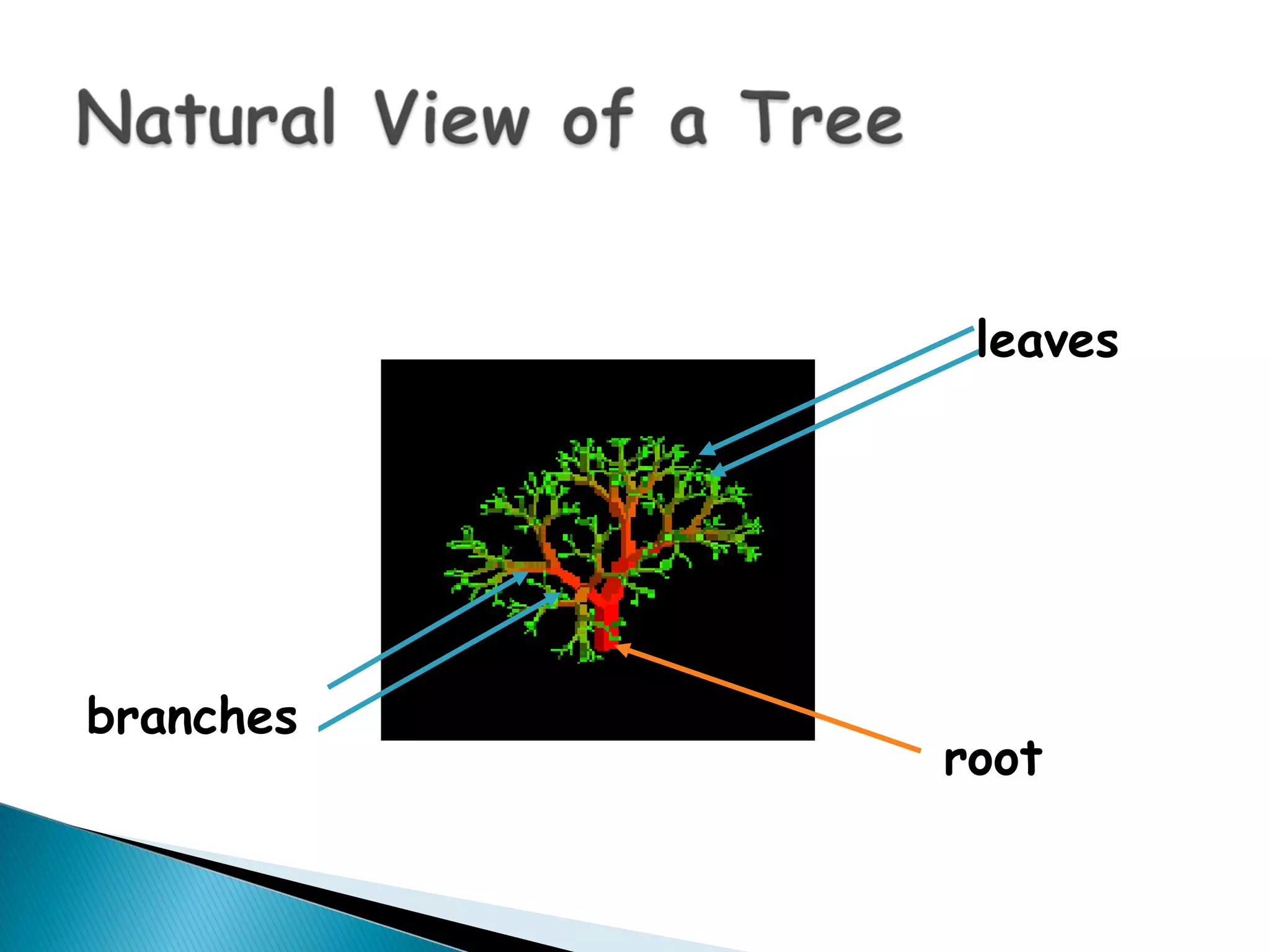 Tree-In Data Structure | PPT | Programming Languages | Computing