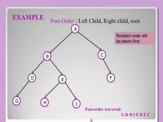 Tree-In Data Structure | PPT