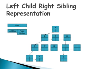 Tree-In Data Structure | PPT