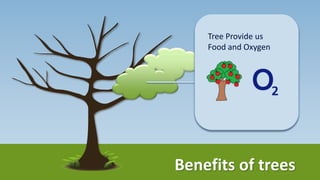 Tree provides us
additional
necessities Shelter,
Medicine and Tools.
Benefits of trees
 