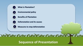 What is Plantation?
Environmental policy
Benefits of Plantation
Deforestation and its causes
Measures to stop deforestatio...