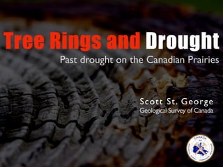 Tree Rings and Drought
     Past drought on the Canadian Prairies


                       S co tt St. Ge orge
                       Geological Survey of Canada