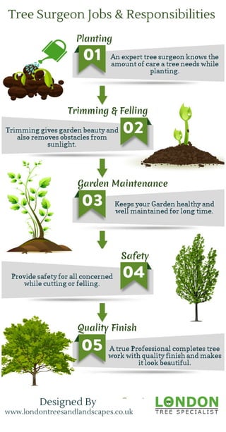 Tree Surgeon Jobs & Responsibilities