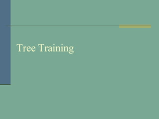 Tree Training 