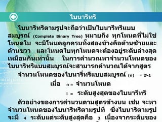 ไบนารีทรีตามรูปจะถือว่าเป็นไบนารีทรีแบบสมบูรณ์  (Complete Binary Tree)  หมายถึง ทุกโหนดที่ไม่ใช่โหนดใบ จะมีโหนดลูกครบทั้งสองข้างคือด้านซ้ายและด้านขวา และโหนดใบทุกโหนดจะต้องอยู่ระดับล่างสุดเหมือนกันเท่านั้น ในการคำนวณหาจำนวนโหนดของไบนารีทรีแบบสมบูรณ์จะสามารถคำนวณได้จากสูตร จำนวนโหนดของไบนารี่ทรีแบบสมบูรณ์  ( n )  = 2 l -1 เมื่อ  n =  จำนวนโหนด l  =   ระดับสูงสุดของไบนารีทรี ตัวอย่างของการคำนวนตามสูตรข้างบน เช่น จะหาจำนวนโหนดของไบนารีทรีตามรูปที่ ซึ่งไบนารีตามรูปจะมี  4  ระดับแต่ระดับสูงสุดคือ  3  เนื่องจากระดับของโหนดรากจะถือว่าอยู่ระดับ  0   ดังนั้นเมื่อแทนค่าสูตร   n  = 2 l -1   จะได้  n = 2 3 -1   จะทำให้ได้จำนวนโหนดเท่ากับ  7   โหนดอย่างไรก็ตามไบนารีทรียังมีชื่อเรียกที่แตกต่างออกไป ตามการนำไปประยุกต์ใช้ ดังนี้ ไบนารีทรี 