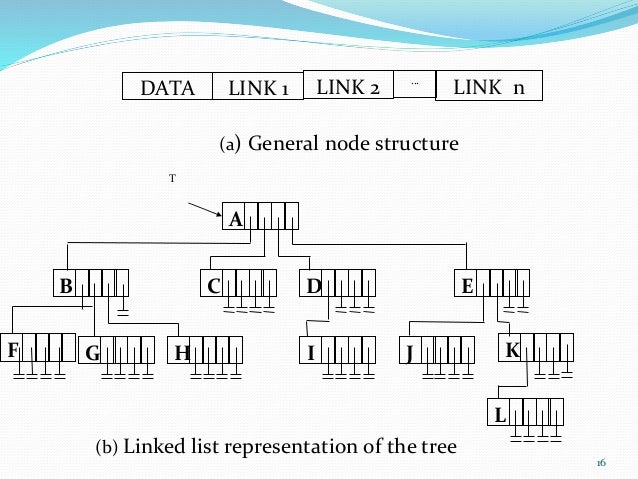 non linear data structure -introduction of tree