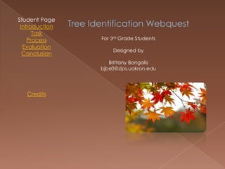Student Page
 Introduction   Tree Identification Webquest
      Task
    Process            For 3rd Grade Students
  Evaluation
                           Designed by
  Conclusion
                          Brittany Bongalis
                       bjb60@zips.uakron.edu




   Credits
 