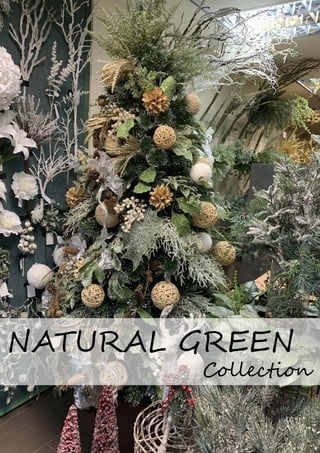 NATURAL GREEN
Collection
 