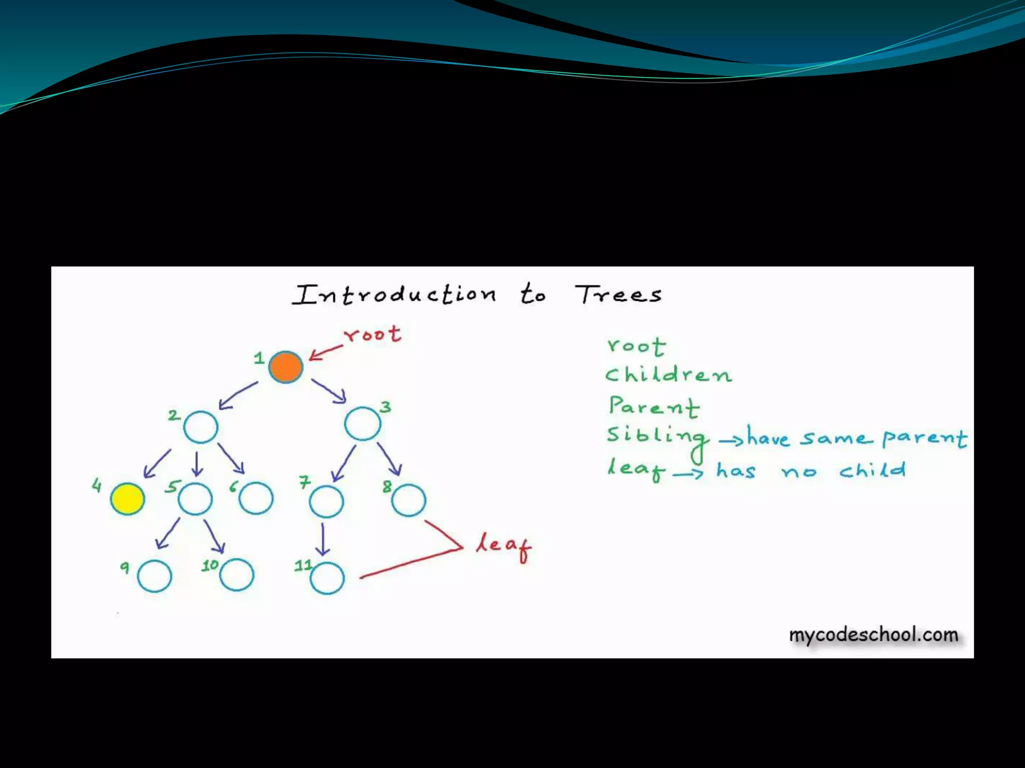 Tree and graph | PPTX
