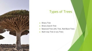 Types of Trees
► Binary Tree
► Binary Search Tree
► Balanced Tree (AVL Tree, Red-Black Tree)
► Multi-way Tree (n-ary Tree)
 