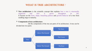 Tree Architecture and its Role in Stand Management - Bhuvaneshwaran P.pptx