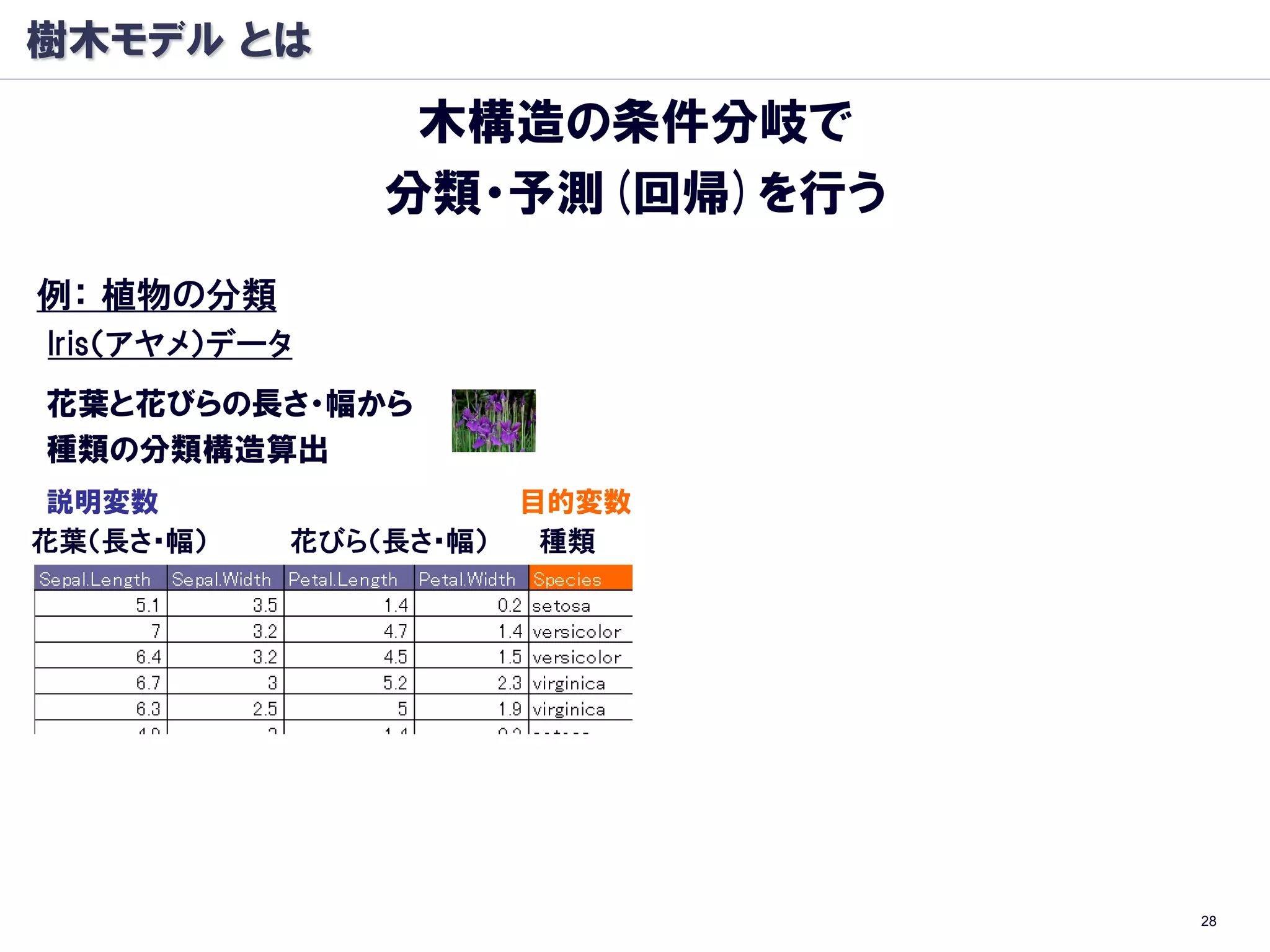 樹木モデル とは
                木構造の条件分岐で
               分類・予測(回帰)を行う
例： 植物の分類
Iris（アヤメ）データ
花葉と花びらの長さ・幅から
種類の分類構造算出
 説明変数                  目的変数
花葉（長さ・幅）   花びら（長さ・幅）    種類




                              28
 