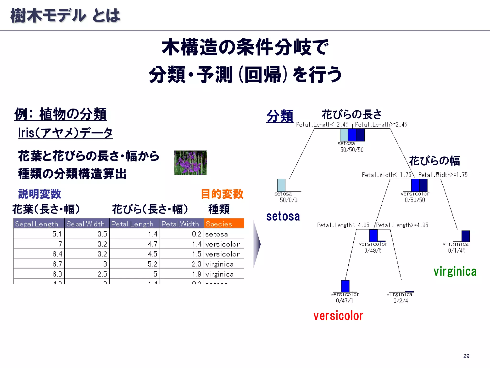 樹木モデル とは
                木構造の条件分岐で
               分類・予測(回帰)を行う
例： 植物の分類                      分類        花びらの長さ
Iris（アヤメ）データ
花葉と花びらの長さ・幅から                                       花びらの幅
種類の分類構造算出
 説明変数                  目的変数
花葉（長さ・幅）   花びら（長さ・幅）    種類
                              setosa



                                                      virginica


                                       versicolor


                                                            29
 