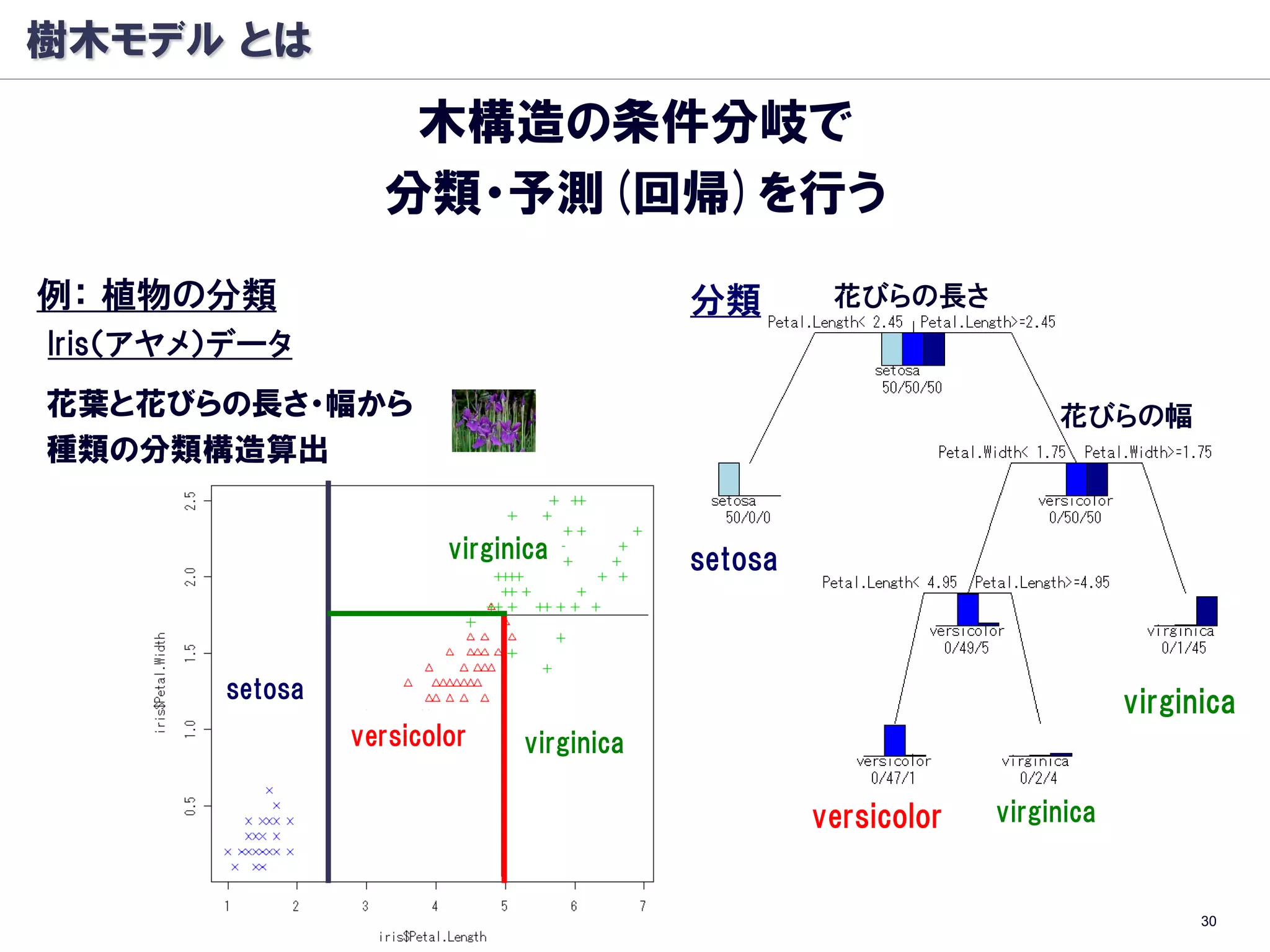 樹木モデル とは
                    木構造の条件分岐で
                   分類・予測(回帰)を行う
例： 植物の分類                                   分類        花びらの長さ
Iris（アヤメ）データ
花葉と花びらの長さ・幅から                                                         花びらの幅
種類の分類構造算出


                         virginica         setosa



        setosa
                                                                             virginica
                 versicolor    virginica

                                                    versicolor   virginica


                                                                                   30
 